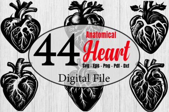An Anatomical Heart Design for Embroidered Projects